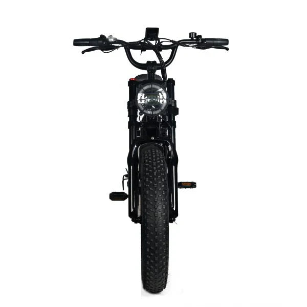 Electric Mountain Bike for Adults | 20 x 4.0 Fat Tires, 1000W Motor, 48V 20Ah Removable Battery, Max Speed 45MPH, Shi Mano 7-Speed for Off-Road Adventures