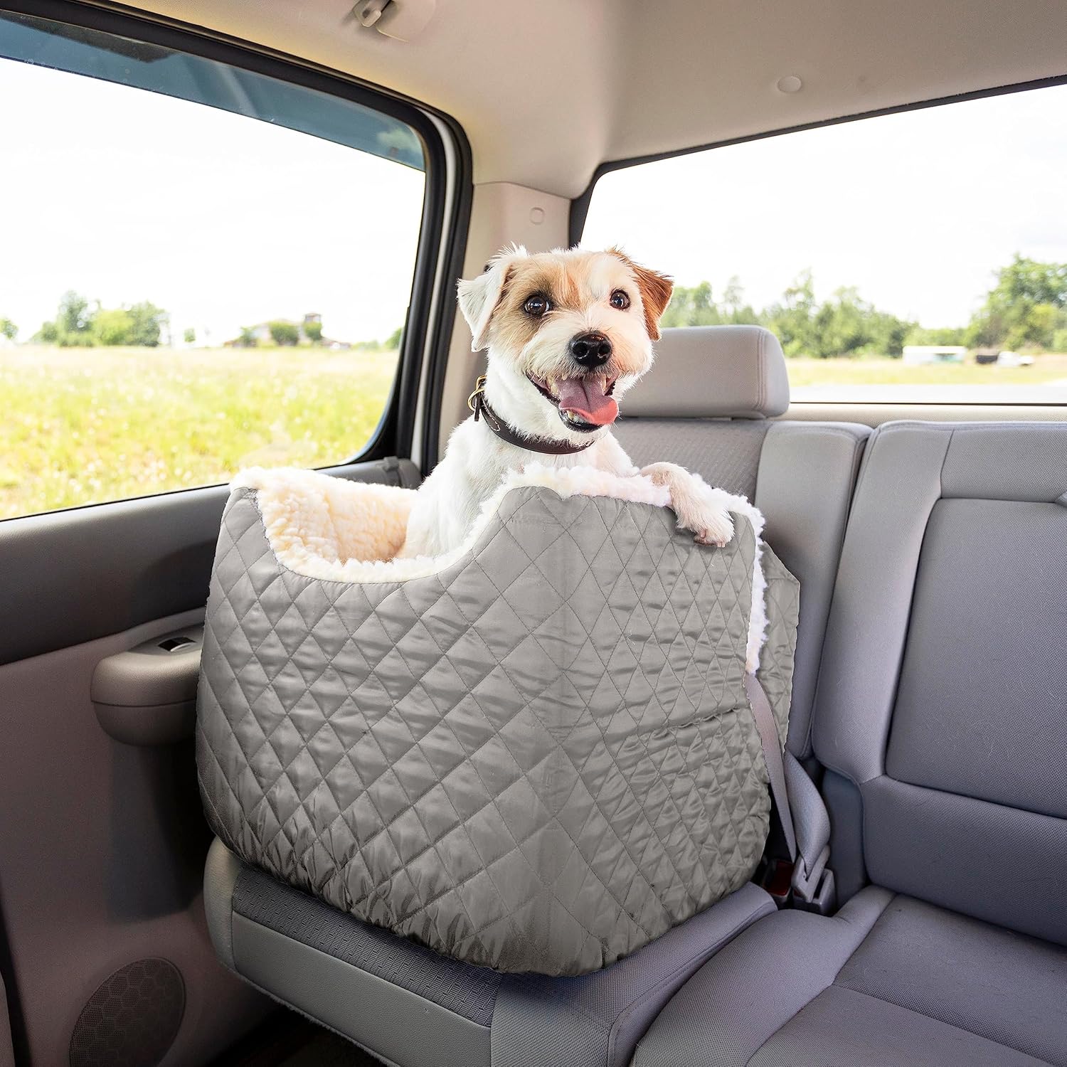 Dog Car Seat: Lookout I Dog Booster Car Seat for Dogs Small 5-15 lbs, Size: Small, Fabric: Black Diamond, Pet Car Seat to Alleviate Car Sickness for Dogs, Removable Machine Washable Cover